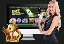 QQ88444